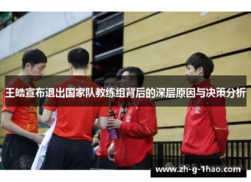 王皓宣布退出国家队教练组背后的深层原因与决策分析