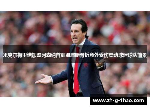 米克尔梅里诺加盟阿森纳首训即肩膀骨折意外受伤震动球迷球队前景